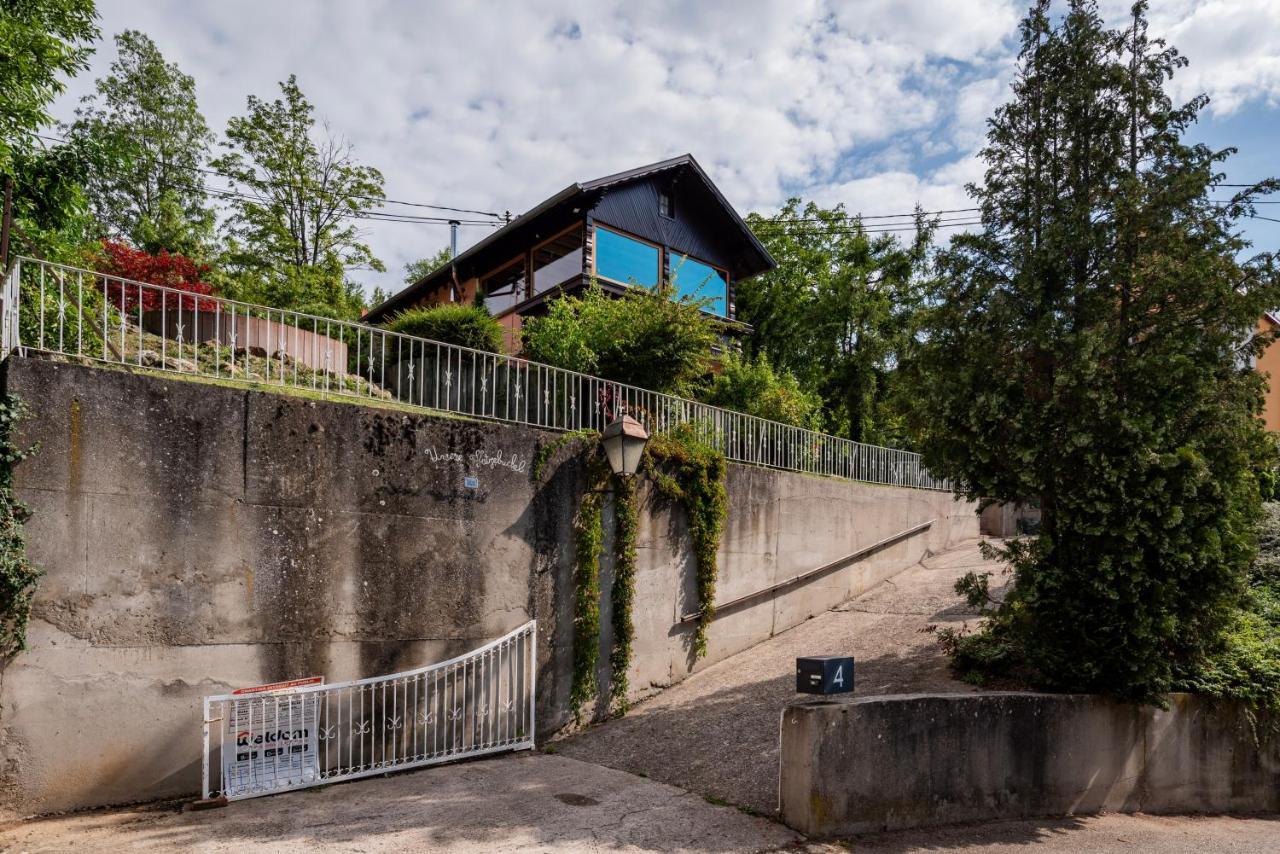 Le Grand Nichoir De La Colline - Parking - Wifi Vila Mutzig Exterior foto